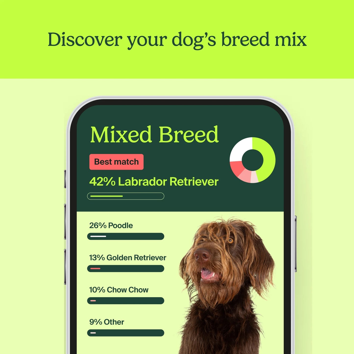 Know Your Pet DNA by : Dog DNA Breed Identification Test, Genetic Traits, DNA Matches, Dog DNA Test