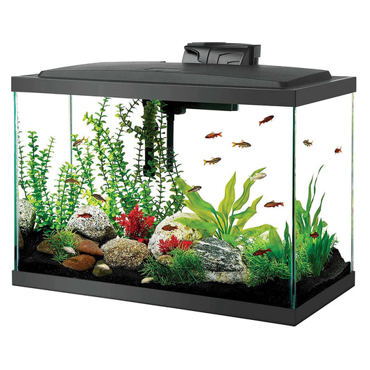 Aquarium Fish Tank Starter Kit with LED Lighting 20 High