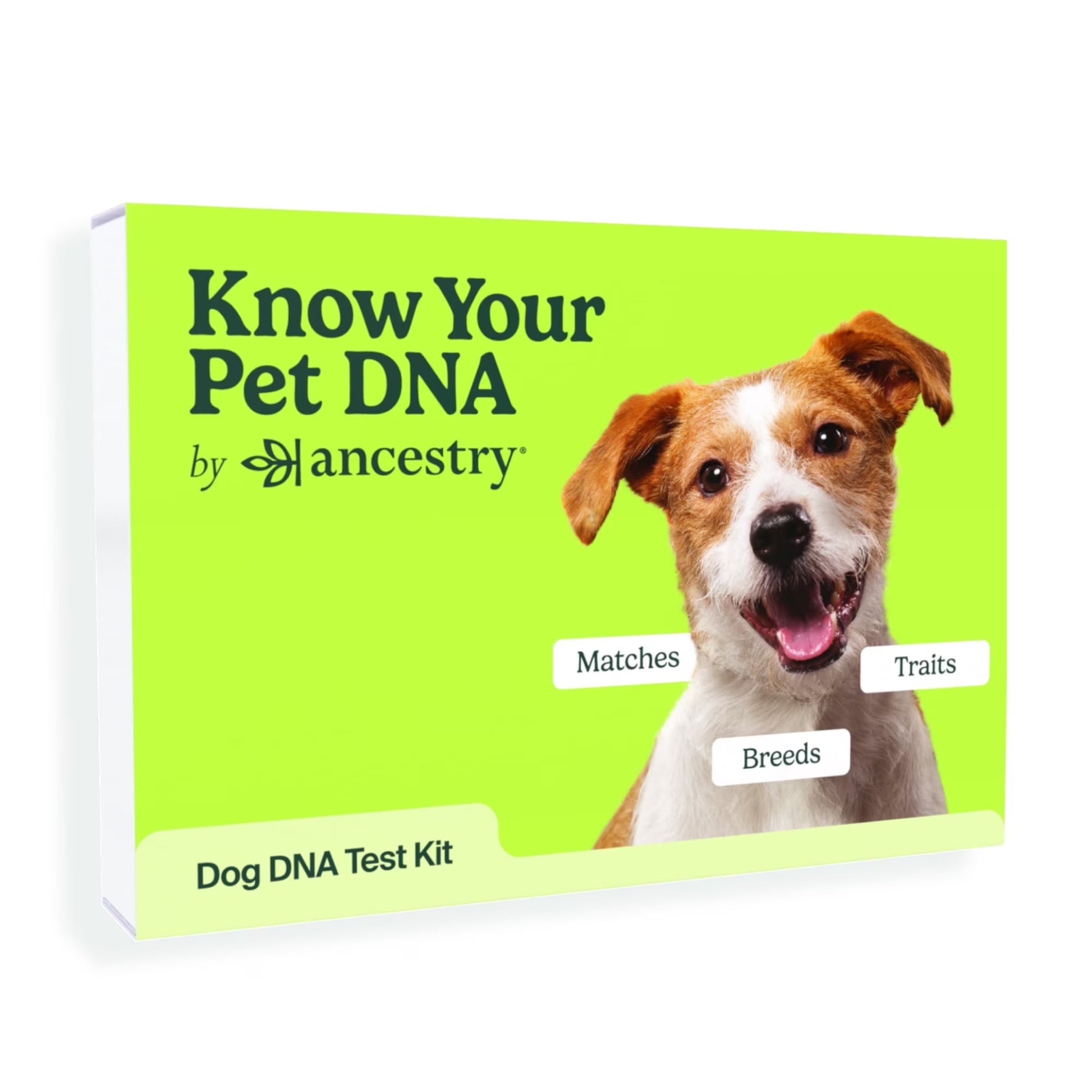 Know Your Pet DNA by : Dog DNA Breed Identification Test, Genetic Traits, DNA Matches, Dog DNA Test